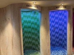 Senses Rainforest picture Senses Rainforest picture