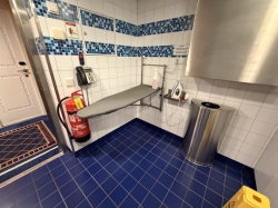 Disney Dream Deck 10 Laundry picture