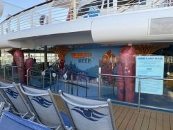 Nemos Reef picture Nemos Reef picture