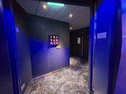 Icon of the Seas Social O2O picture
