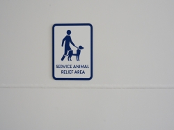 Disney Wish Plutos Corner picture