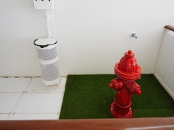 Disney Wish Plutos Corner picture