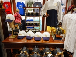 Disney Wish Mickeys Mainsail picture