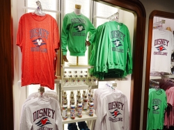 Disney Wish Mickeys Mainsail picture