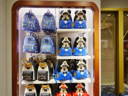 Disney Wish Mickeys Mainsail picture