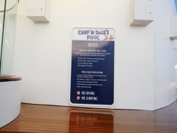 Disney Wish Chip N Dales Pool picture