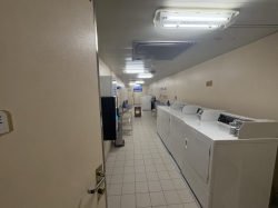 Majestic Princess Laundry picture