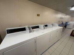 Majestic Princess Laundry picture