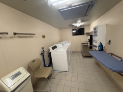 Majestic Princess Laundry picture