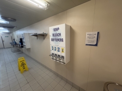 Majestic Princess Laundromat picture