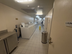 Majestic Princess Laundromat picture