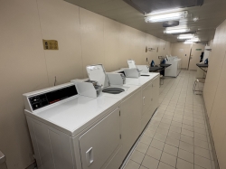 Majestic Princess Laundry picture