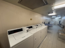 Majestic Princess Laundry picture