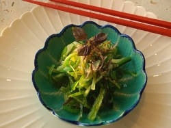 Star Princess Makoto Ocean picture