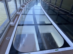 MSC Seascape Infinity Bridge picture