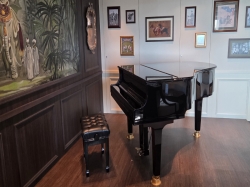 MSC World Europa Raj Polo Tea House picture Uploaded in 2026 Photo courtesy of Viviane Debaar. MSC World Europa Raj Polo Tea House picture