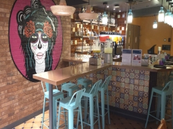 HOLA Tacos & Cantina picture HOLA Tacos & Cantina picture