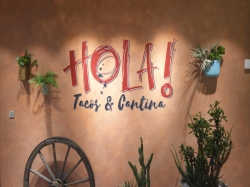 HOLA Tacos & Cantina picture HOLA Tacos & Cantina picture