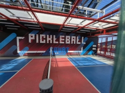 Pickleball Court picture