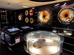 MSC Seascape Emotions picture