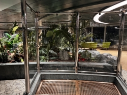 MSC Seascape Jungle Bar and Pool picture