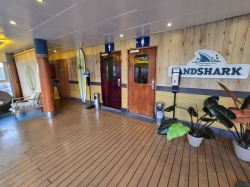 Landshark Pool and Bar picture