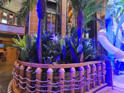 MAS Islander Flip Flop Atrium Bar picture Uploaded in 2026 Photo courtesy of Stephanie Harlan. MAS Islander Flip Flop Atrium Bar picture