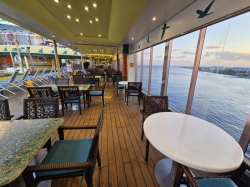 Landshark Pool and Bar picture