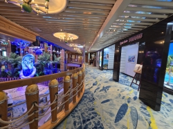Cruise Photos picture