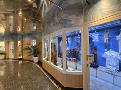 MAS Islander Retail Shops picture
