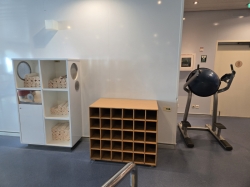 Allure of the Seas Spa and Fitness Center picture
