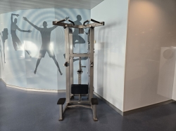 Allure of the Seas Spa and Fitness Center picture