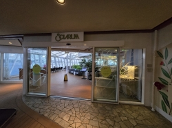 Allure of the Seas Solarium picture