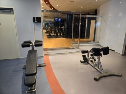 Allure of the Seas Spa and Fitness Center picture
