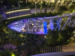 Allure of the Seas Central Park picture