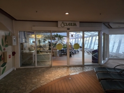 Allure of the Seas Solarium picture