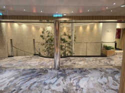 Allure of the Seas Spa and Fitness Center picture