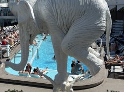 Pool picture Pool picture