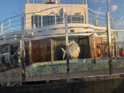 MSC Seascape Yacht Club Sun Deck picture