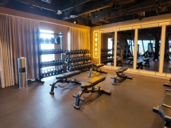Norwegian Luna Pulse Fitness Center picture