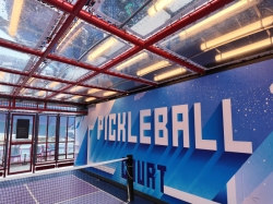 Pickleball Court picture