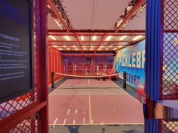 Pickleball Court picture