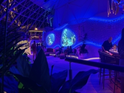 Overlook Lounge picture