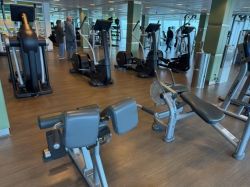 Celebrity Silhouette Fitness Center picture