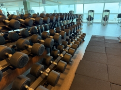 Celebrity Silhouette Fitness Center picture
