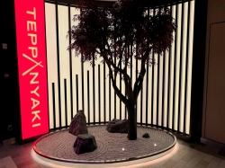 Izumi Teppanyaki picture