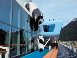 Ovation of the Seas Running Track picture