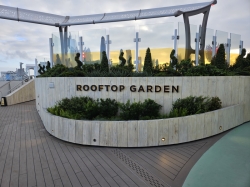 Rooftop Garden picture Rooftop Garden picture