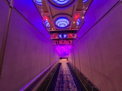 Enchanted Princess Princess Theater picture