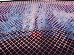 Scarlet Lady The Net picture